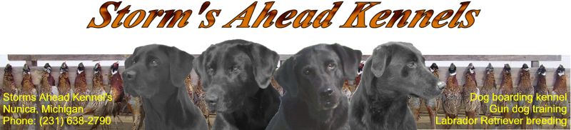 Storm's Ahead Kennels home page.